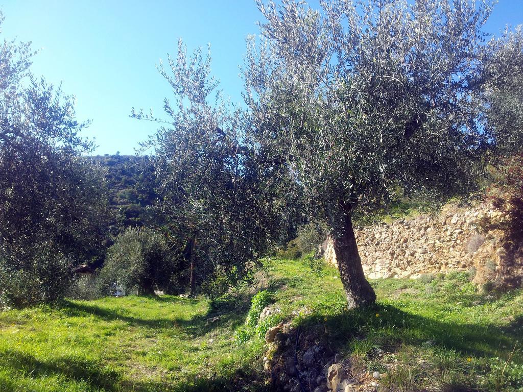 Agriturismo C'Era Una Volta Camporosso  Luaran gambar